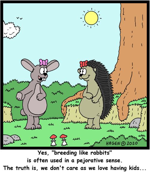 "Yes, "breeding like rabbits" is often used in a pejorative sense. The truth is, we don't care as we love having kids..."
