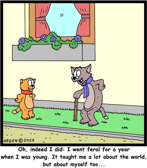 "Oh indeed I did: I went feral for a year when I was young. It taught me a lot about the world, but about myself too..."