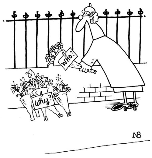 Floral tributes