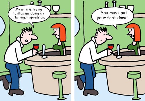 "My wife is trying to stop me doing my flamingo impression." "You must put your foot down!   "