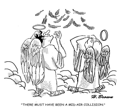 "There must have been a mid-air collision."