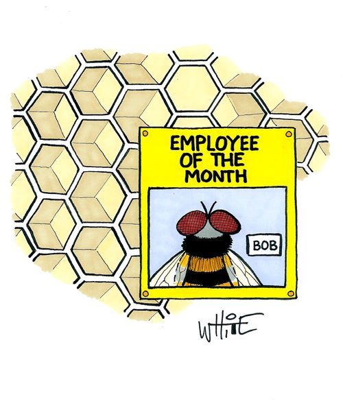 Employee of the month...