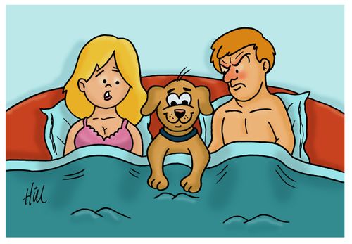 Dog In Bed Between Lovers