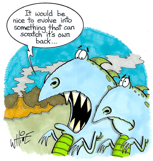 "It would be nice to evolve into something that can scratch it's own back..."