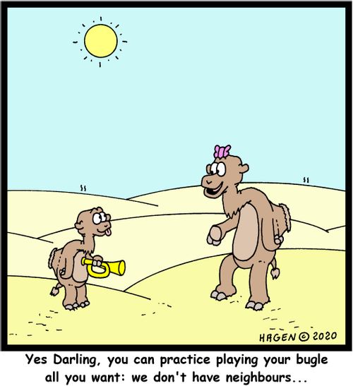"Yes darling, you can practice your bugle all you want: we don't have neighbours..."