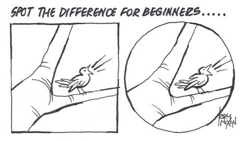 Spot The Difference For Beginners