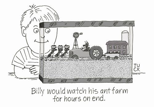 Billy would watch his ant farm for hours on end.