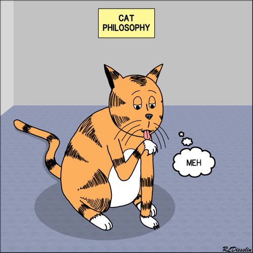 Cat Philosophy 