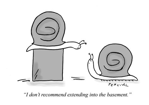 "I don't recommend extending into the basement."