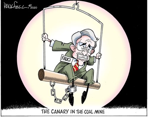 The Canary in the Coal Mine