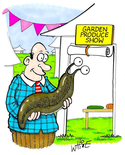 Garden produce show.