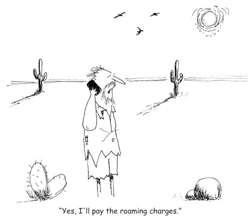 "Yes, I'll pay the roaming charges." 