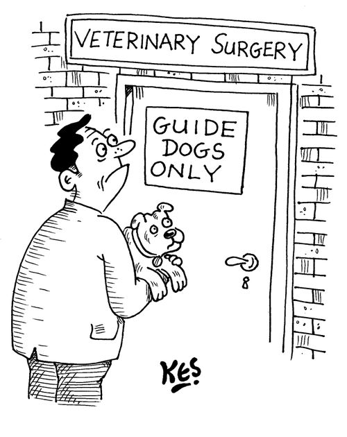 'Guide dogs only'.