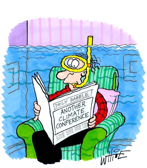 Another climate conference...