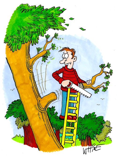 Tree collapse...