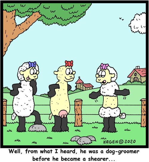 "Well, from what I heard, he was a dog-groomer before he became a shearer..."