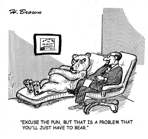 "Excuse the pun, but that is a problem that you'll just have to bear."