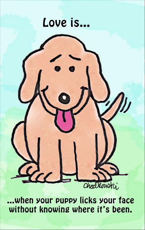Love is... when your puppy licks you face without knowing where it's been.