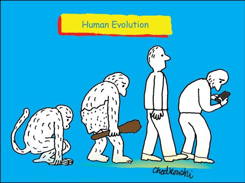 Human evolution
