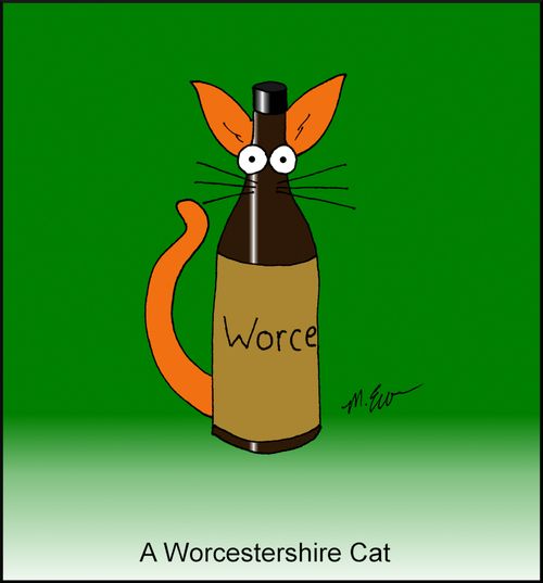 Worcestershire cat