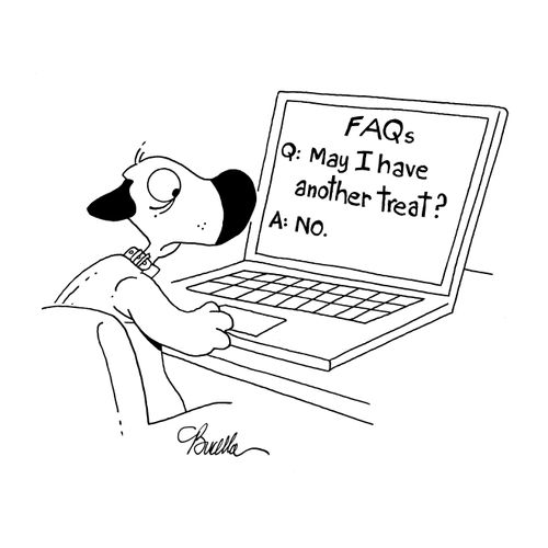 FAQs for dogs