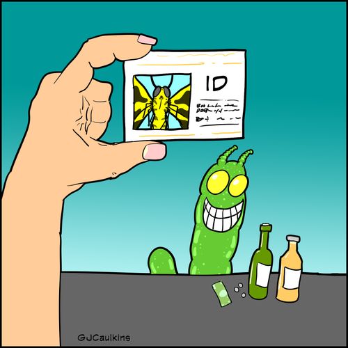 Caterpillar Fake ID