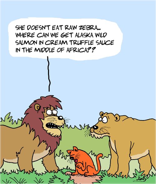 "She doesn't eat raw zebra... Where can we get Alaska wild salmon in cream truffle sauce in the middle of Africa?"