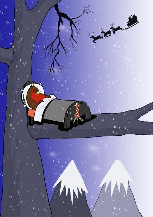 Robin's Christmas stocking