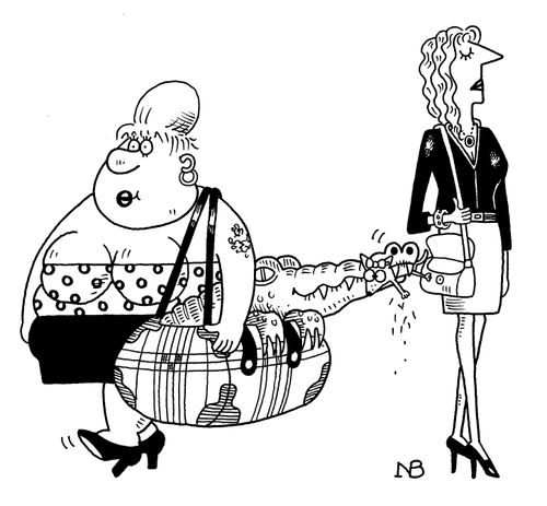 Handbag pets