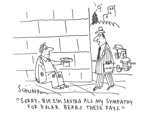 "Sorry, but I'm saving all my sympathy for polar bears these days."