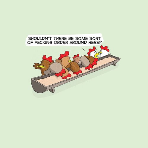 "Shouldn't there be some sort of pecking order around here?"