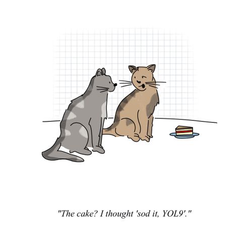 "The cake? I thought, sod it, YOL9."