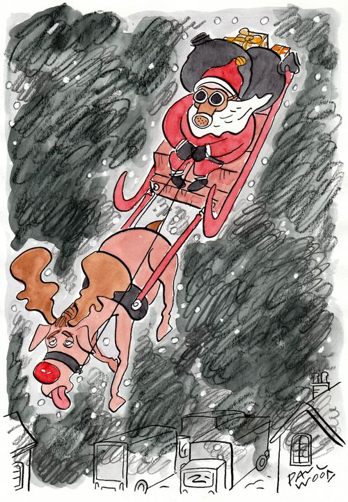 Santa and Pollution