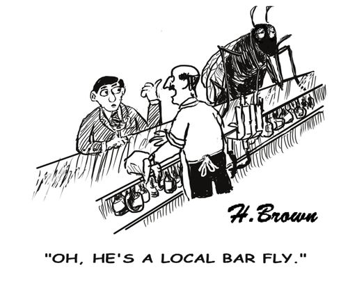 "Oh, He's a local bar fly."