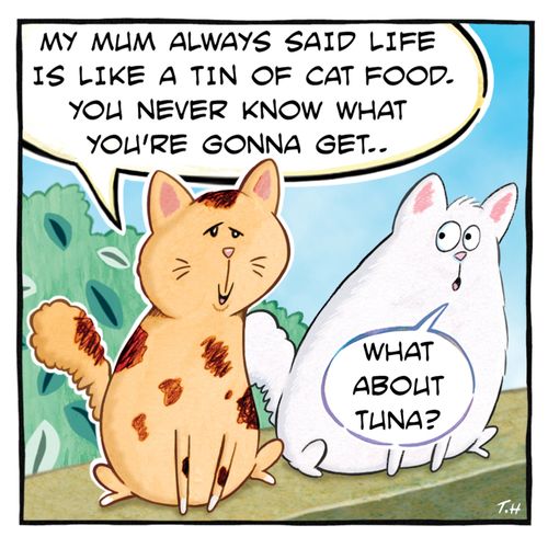 "My mum always said life is like a tin of cat food. You never know what you're gonna get..."