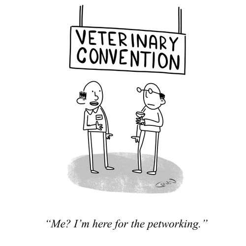 "Me? I'm here for the petworking.".