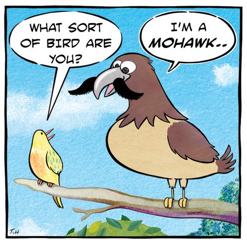 "What sort of bird are you?"