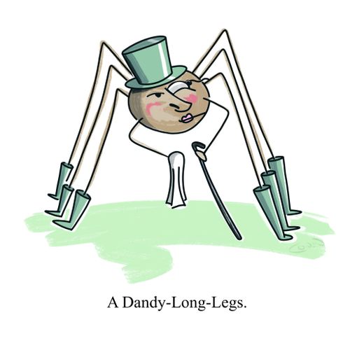 A Dandy-Long-Legs