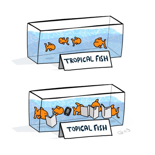  'Tropical Fish', and 'Topical Fish'.