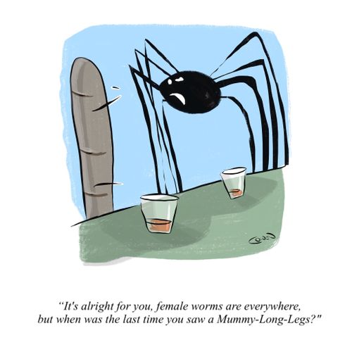  "It's alright for you, female worms are everywhere, but when was the last time you saw a Mummy-Long-Legs?"