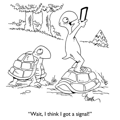 "Wait, I think I got a signal!"