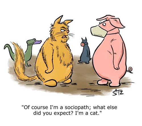 "Of course I'm a sociopath; what else did you expect? I'm a cat."
