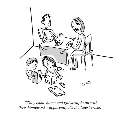 "They came home and got straight on with their homework - apparently it's the latest craze."