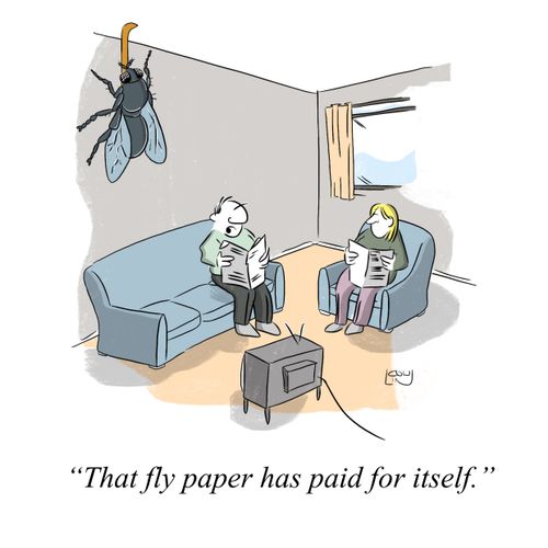 "That fly paper's paid for itself."