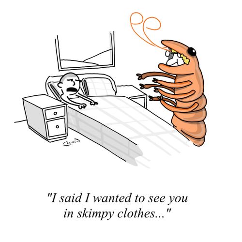 "I said I wanted to see you in skimpy clothes..."