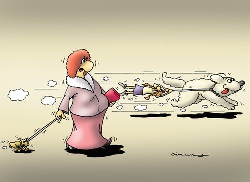 Who's taking who for a walk