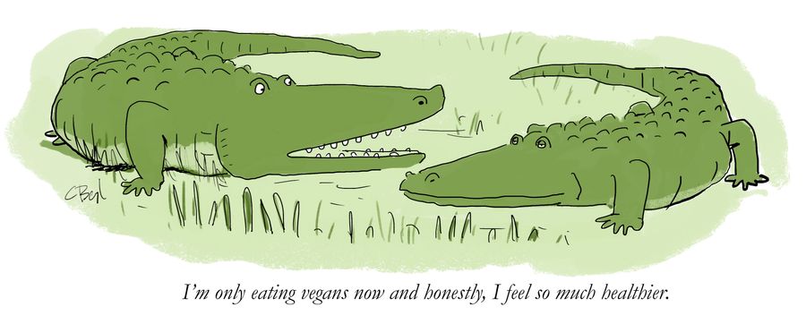 "I'm only eating vegans now and honestly, I feel so much healthier."