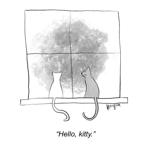 "Hello, kitty."
