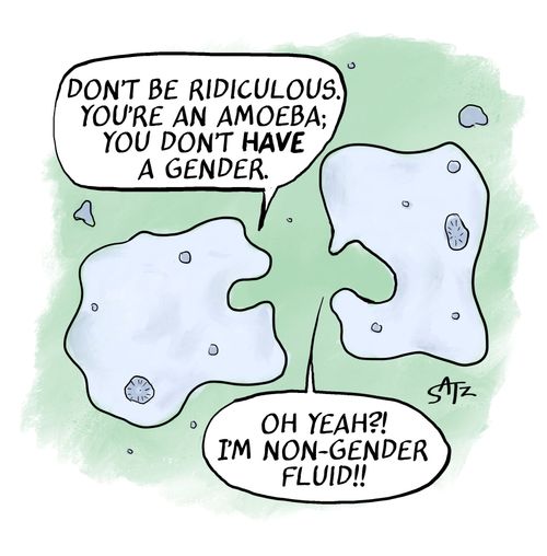 "Don't be ridiculous. You're an amoeba; you don't have a gender."