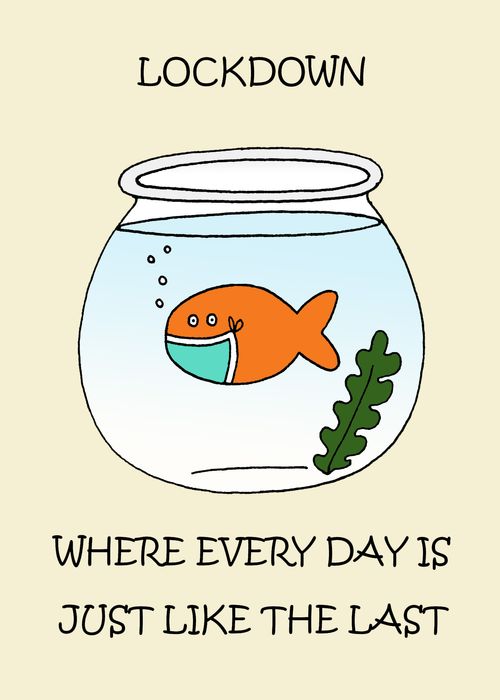 Lockdown: Where every day is just like the last."